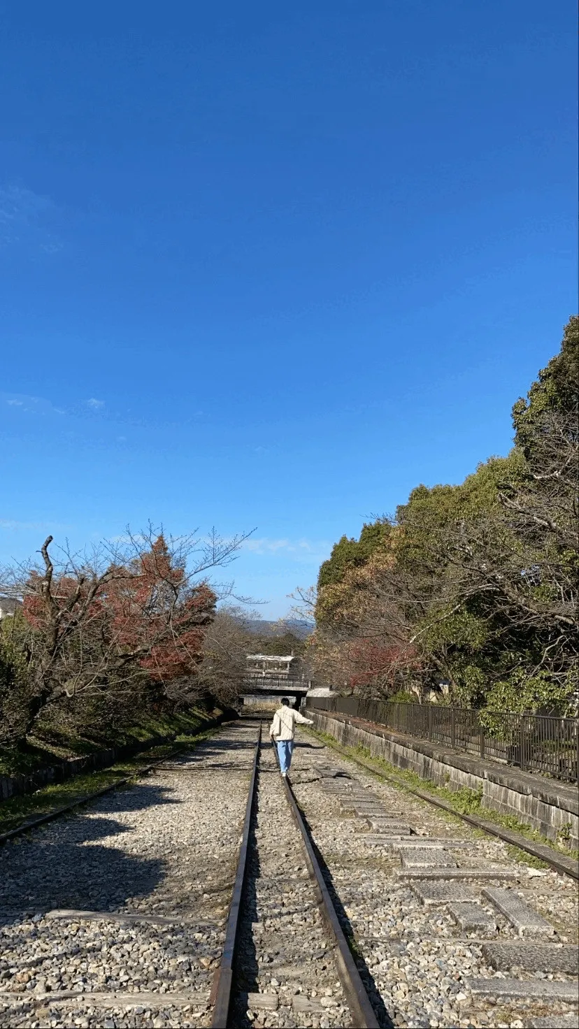 MIRU2025 インタラクティブ発表賞